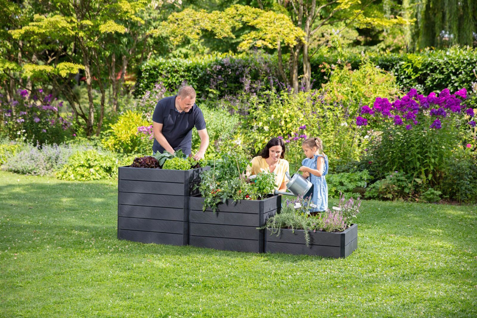 1 prime line taustapilt